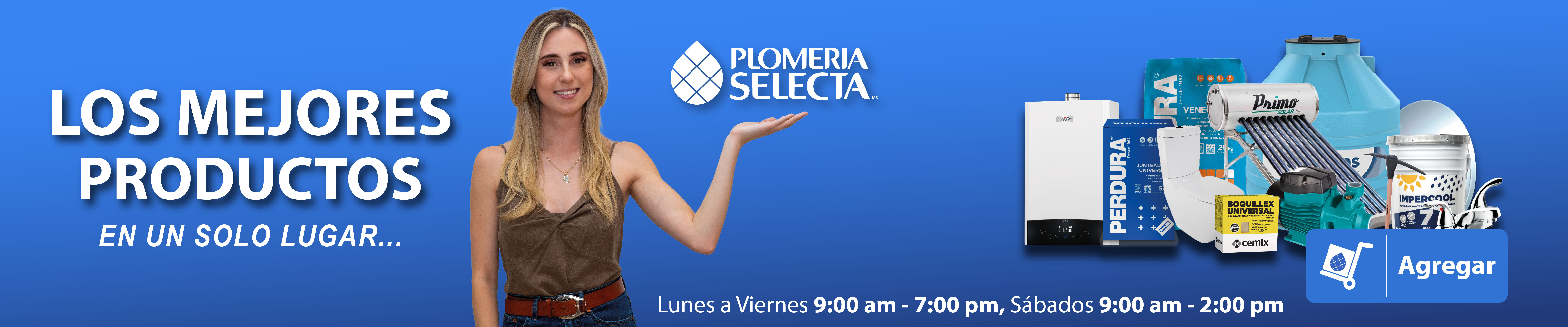 Plomeria selecta banners